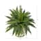 15" Boston Fern Artificial Plant with Tuscan Ceramic Green Scroll Planter